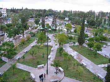 my city